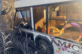 Поліція з’ясовує обставини ДТП з постраждалими за участі міського автобуса в Кривому Розі1