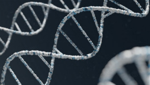 Понад третина військовослужбовців ЗСУ здали біологічний матеріал для обліку в Центрі геномної інформації0