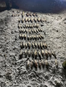 Потрапив на гачок правоохоронців: на Інгульці спіймали рибалку – браконьєра з незаконним уловом на суму понад 130 тисяч гривень1