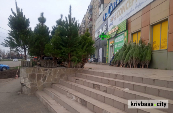 У Кривому Розі діють ялинкові ярмарки