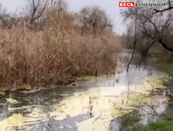 Забруднення Саксагані дісталось з Зарічного до Юності в Кривому Розі