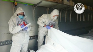 В Україну повернули тіла 1003 загиблих0