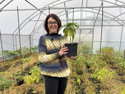 Від бухгалтерії до чилі: жителька Кривого Рогу вирощує вдома найгостріші перці світу1