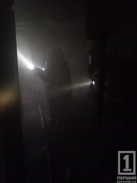 З 5-го поверху врятували двох людей: на житломасиві ПівдГЗК загорілася квартира3
