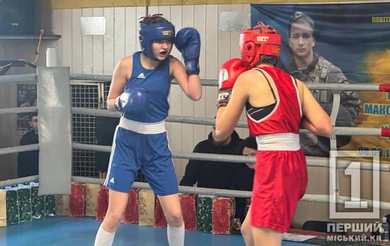 Заключний акорд боксерського року: у Кривому Розі відбувся «Кубок вікінгів»