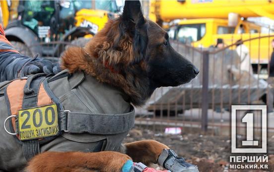 «Засусідили» з М’янмою, Сирією та Афганістаном: Україна стала четвертою у світі за кількістю жертв від мін