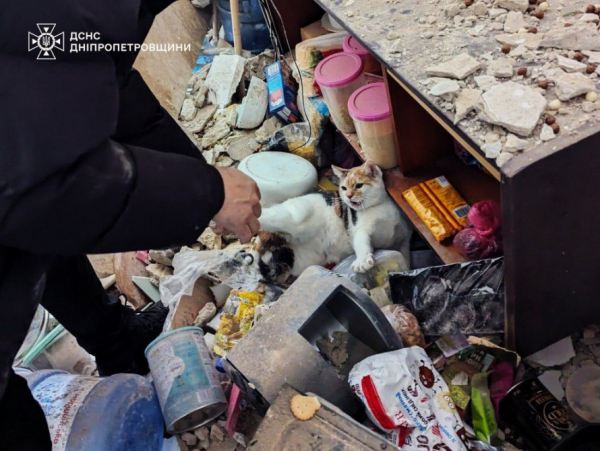 22 січня росіяни атакували Кривий Ріг шахедами і ракетами - є влучання в житловий будинок і серед постраждалих діти6