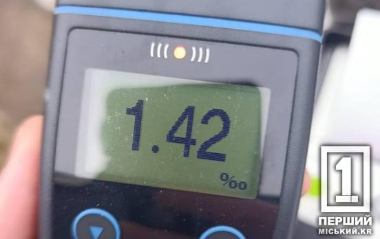 Алкоголь зробив «пробіл» у знаннях ПДР: у Довгинцівському районі Кривого Рогу затримали нетверезого шофера