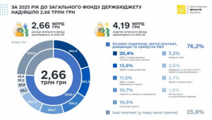 Бюджет України у 2025 році отримав 3,82 трлн грн доходів — Мінфін0