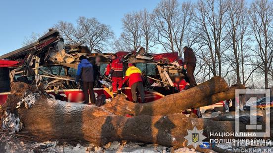 Через відбійник і в дерево: на Львівщині мешканки Кривого Рогу пережили серйозну ДТП1