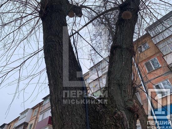 Генератор у «Запорожці»: криворіжці знайшли спосіб врятуватися від відключень світла1