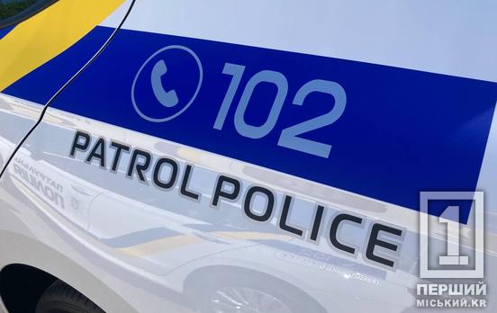 Горе-водій, неправдивий виклик спецслужб і порушення ПДР: як пройшов минулий тиждень у Зеленодольській МТГ