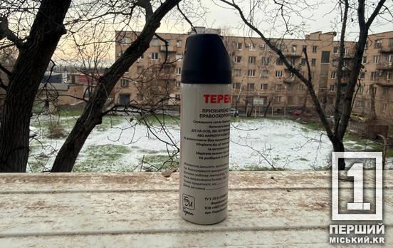 Хто може придбати газовий балончик чи пістолет і за яких умов: Кабмін оновив правила придбання засобів самооборони