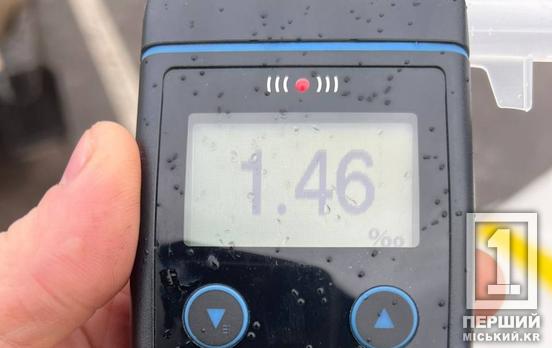 Коли «море по коліно», а дорога як дзеркало: у Покровському районі затримали нетверезого екстремала на ВАЗі