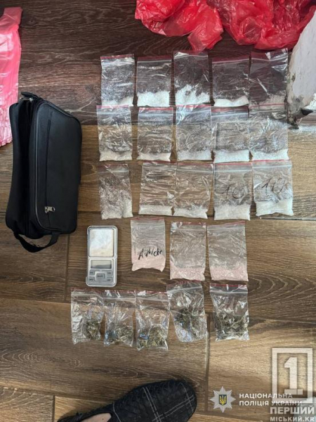 Мільйонний заробіток на наркотиках та звіряче побиття людини: на Дніпропетровщині судитимуть банду1