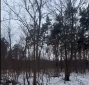 На Дніпропетровщині викрито схему незаконного переоформлення державних земель ДП «Ліси України»0