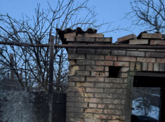 Нікопольщина та Кривий Ріг зазнали ворожих атак: є пожежі та руйнування1