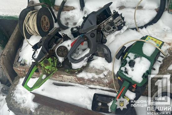 Нищили ліс заради мільйонів: на Дніпропетровщині накрили «чорну» пилораму2