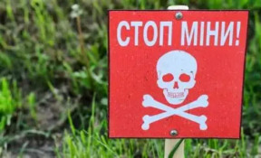 Перевірте свої знання з протимінної безпеки у новому симуляторі на Дія.Освіта0