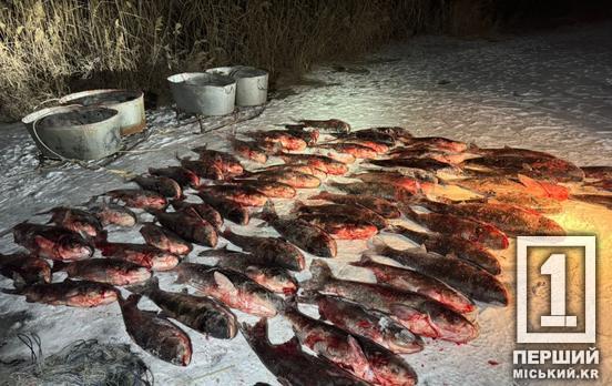 Риби майже на 700 кг: у Криворізькому районі попався «нічний» браконьєр