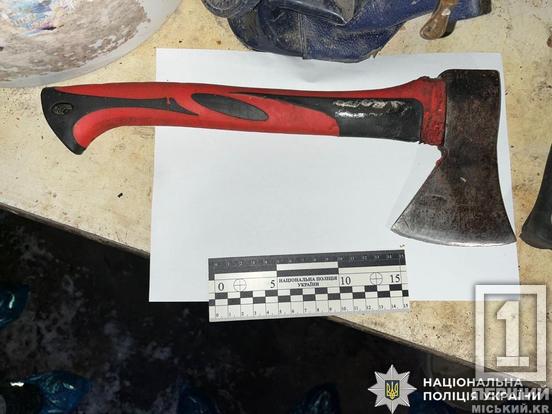 Розчленувала тіло і скинула у вигрібну яму: на Дніпропетровщині жінка жорстоко розправилася над чоловіком1