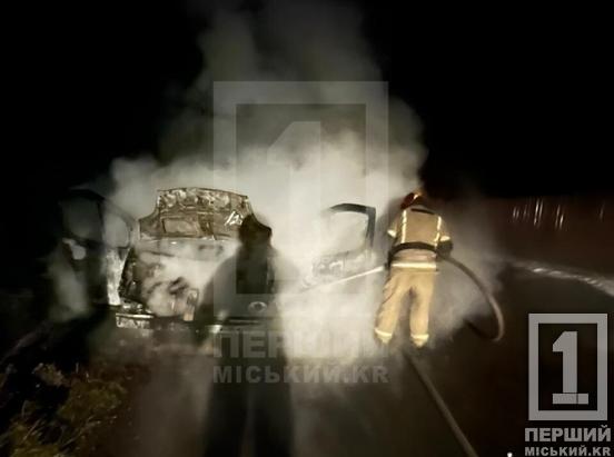Спалах вогню посеред нічної вулиці: у Центрально-Міському районі Кривого Рогу вщент згорів бус Renault1