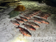 У Кривому Розі спіймали «на гарячому» рибалку – браконьєра1