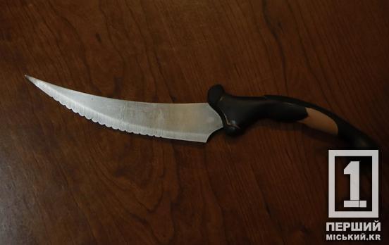 У одному з районів Кривого Рогу сталася поножовщина