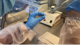 Українці в Польщі зможуть здати ДНК для пошуку зниклих безвісти родичів0