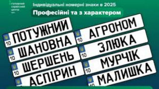 Українці встановили рекорд з індивідуальних номерів у 2025 році0