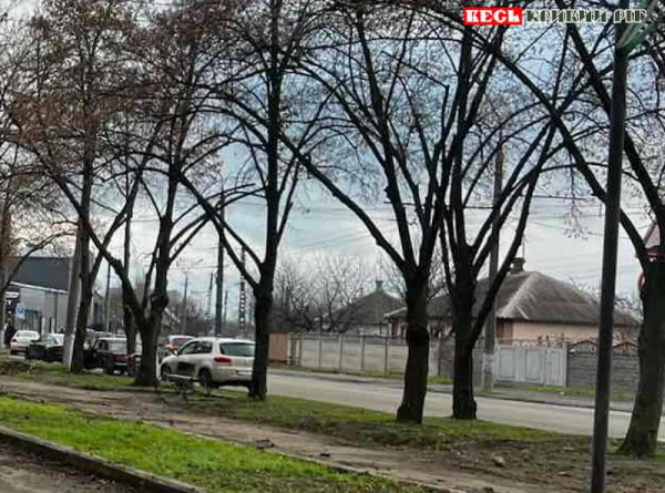 Одна з вулиць в Тернах в Кривому Розі