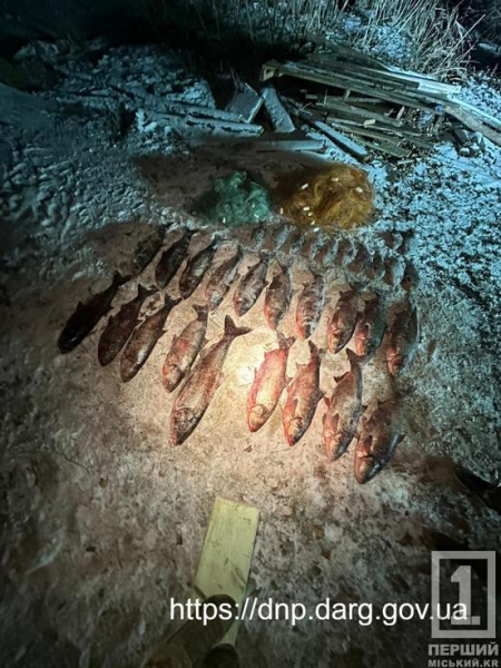 Влаштував нічний спринт по кризі: на Карачунівському водосховищі нічний баконьєр тікав від рибохорони2