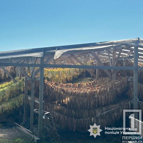 Замовлення йшли на Кривий Ріг та ще два міста: поліція зірвала велику оборудку з тютюном5