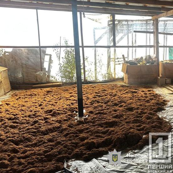 Замовлення йшли на Кривий Ріг та ще два міста: поліція зірвала велику оборудку з тютюном1