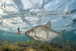 Зимова риболовля на плоскирку: поради, законодавство та безпека0