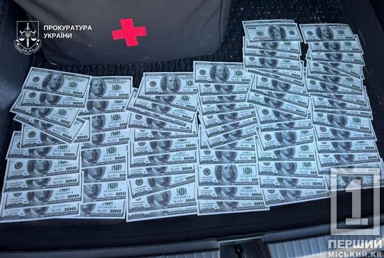 «Білий квиток» за ціною авто: у Кривому Розі ділок за 15 000 доларів обіцяв статус інваліда для втечі за кордон1