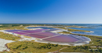 Через війну Україна втратила понад 270 тисяч гектарів морських акваторій природно-заповідного фонду0