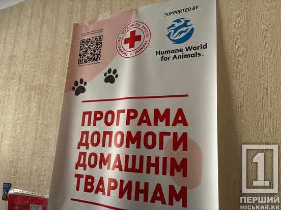 Допомога на трьох улюбленців в одні руки: нові криворіжці можуть безкоштовно отримати корм та наповнювач4