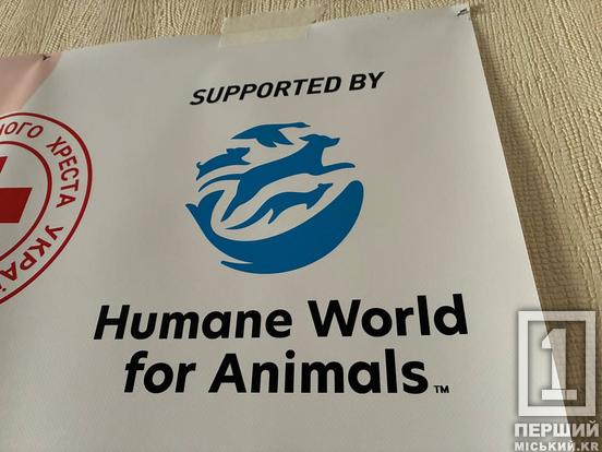 Допомога на трьох улюбленців в одні руки: нові криворіжці можуть безкоштовно отримати корм та наповнювач3