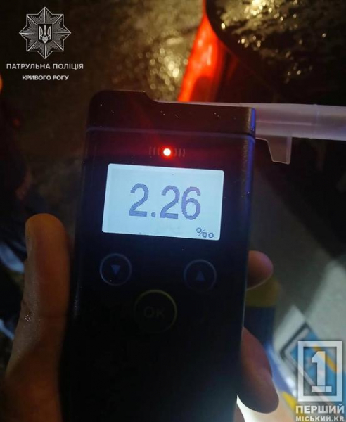 «Фінішував» на клумбі: у Кривому Розі нетверезий водій влаштував ДТП на кільці 95-го1