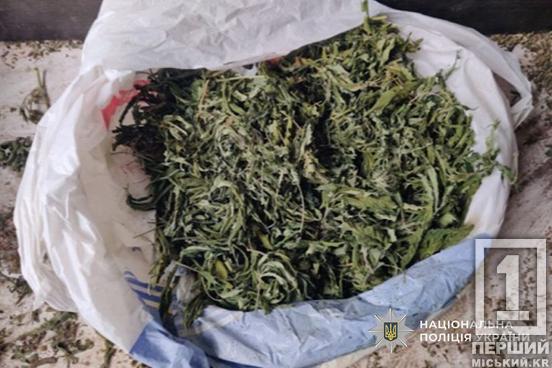 Гранати та наркотики: у Кривому Розі затримали торговця боєприпасами2