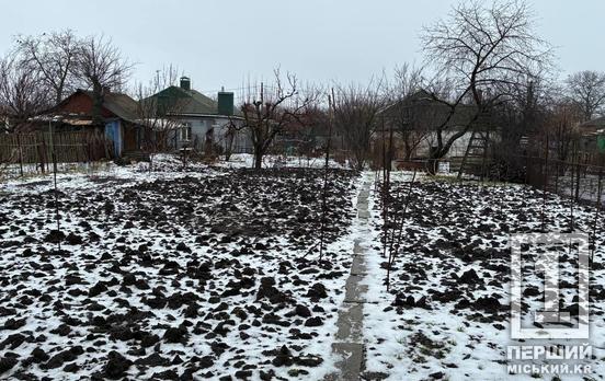 Гранти на сади та теплиці: як аграріям Криворіжжя отримати гроші на розвиток бізнесу