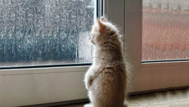 Коли ж потеплішає: синоптикиня назвала дату зміни погоди