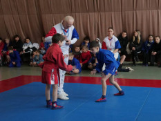 Кривий Ріг - місто сильних: Кращі майстри самбо та греко-римської боротьби зустрілися на міських чемпіонатах5