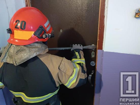 На Криворіжжі рятувальники визволили з пастки літню жінку1