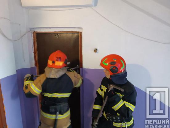 На Криворіжжі рятувальники визволили з пастки літню жінку2