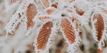Понад 4 тисячі школярів Дніпропетровщини перейшли на дистанційне навчання через спалах хвороб0