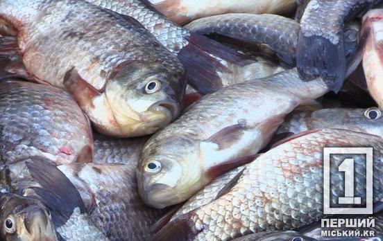 У 2026 році сім видів риби в Україні можна ловити без обмежень