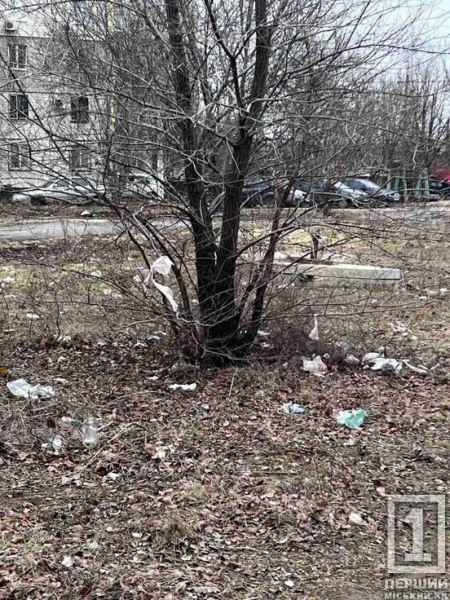 Узбіччя — не звалище: криворіжців закликають не перетворювати зупинки на смітники2