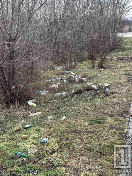 Узбіччя — не звалище: криворіжців закликають не перетворювати зупинки на смітники1